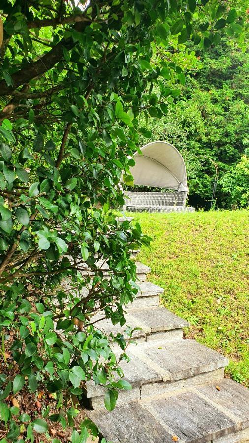 Bella Vista Lago Maggiore Ghiffa Zewnętrze zdjęcie