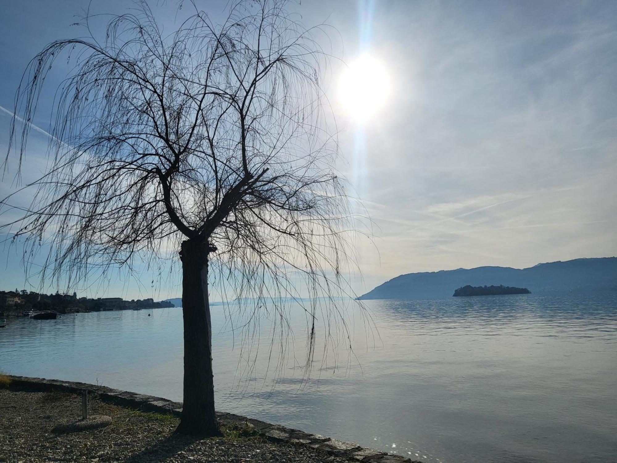Bella Vista Lago Maggiore Ghiffa Zewnętrze zdjęcie